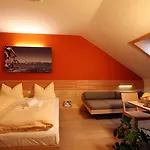 Отель Jufa Altenmarkt-zauchensee 3*